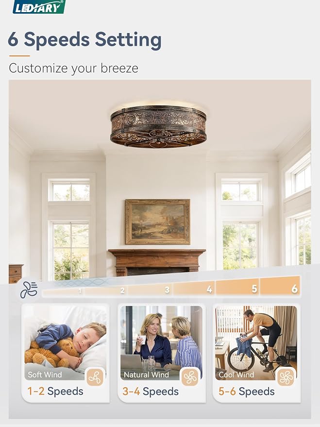 LEDIARY 20" Caged Ceiling Fans with Lights,Low Profile Flush Mount Enclosed Bladeless Farmhouse Ceiling Fan with Light and Remote,Black and Gold Vintage Victorian Rustic Fandelier for Bedroom,Kitchen