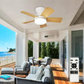 Ceiling fans with lights and Remote: 25 Inch Ceiling Fan with Light Low Profile - Flush Mount Ceiling Fan 5 Blades Reversible 3CCT Dimmable Noiseless for Bedroom (White& Wood Grain)