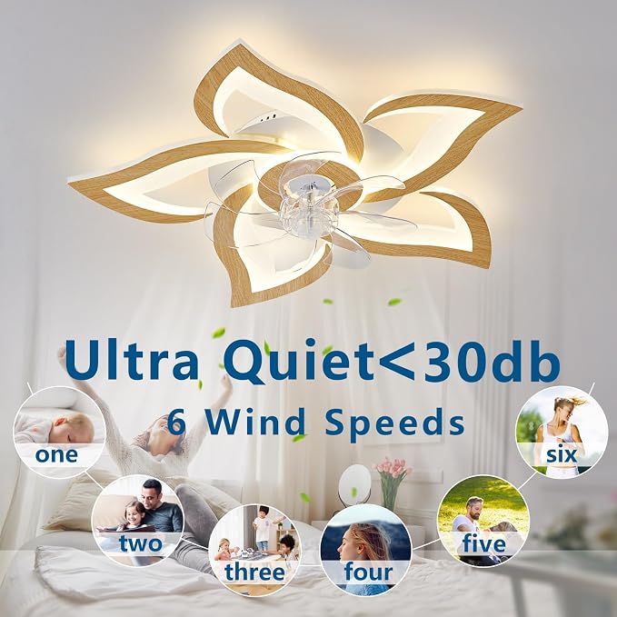 Dalouguan 24" Ceiling Fan with Lights Remote Control, Light Wood Grain Color 6 Speeds 3 Light Color Low Profile Flush Mount Ceiling Fan for Kitchen Bedroom
