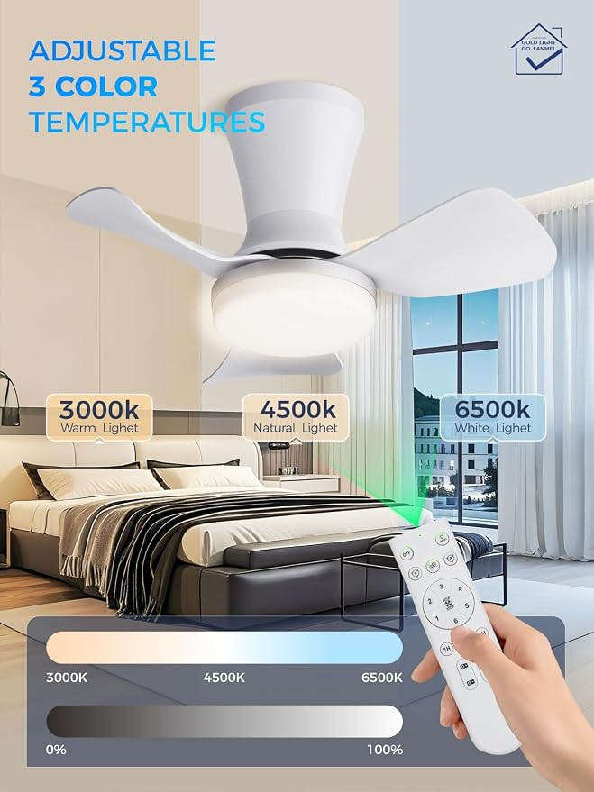 LANMEL Ceiling Fan with Light, Modern Flush Mount Low Profile with Remote Control, Reversible, 3CCT Dimmable, Quiet,LED for Bedroom, Living Room, Indoor/Outdoor Patio Use 22 Inch Silver & White