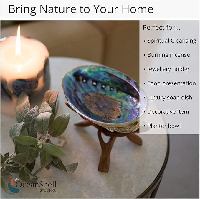 Natural Abalone (Pāua) Shell, with Stand,6-6.5 Inches,Supreme for Smudging,Cleansing Home,Meditation,Shell Crafts,Incense Holder,100% Natural, Sustainably Sourced by Ocean Shell Studios NZ