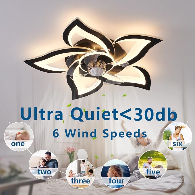 Dalouguan Ceiling Fan with Lights Remote Control, 24" Black, 6 Speeds 3 Light Color Low Profile Flush Mount Ceiling Fan for Kitchen Bedroom