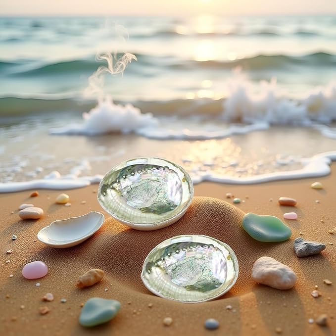 2pc Colorful Fashionable Large Abalone Shell Bowl,4-4.5 Inch Exquisite Natural Sea Shell Smudge Bowl for Sage Burning and Incense for Decor,Display and Great Gift,Incense and Incense Holders