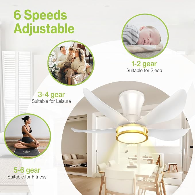 DAMINY 30 Inch White and Gold 5 Blade Ceiling Fan with Light, Modern Ceiling Fan with Remote,Large Airflow,Flush Mount,6CCT,Dimmable,Noiseless,Bedroom
