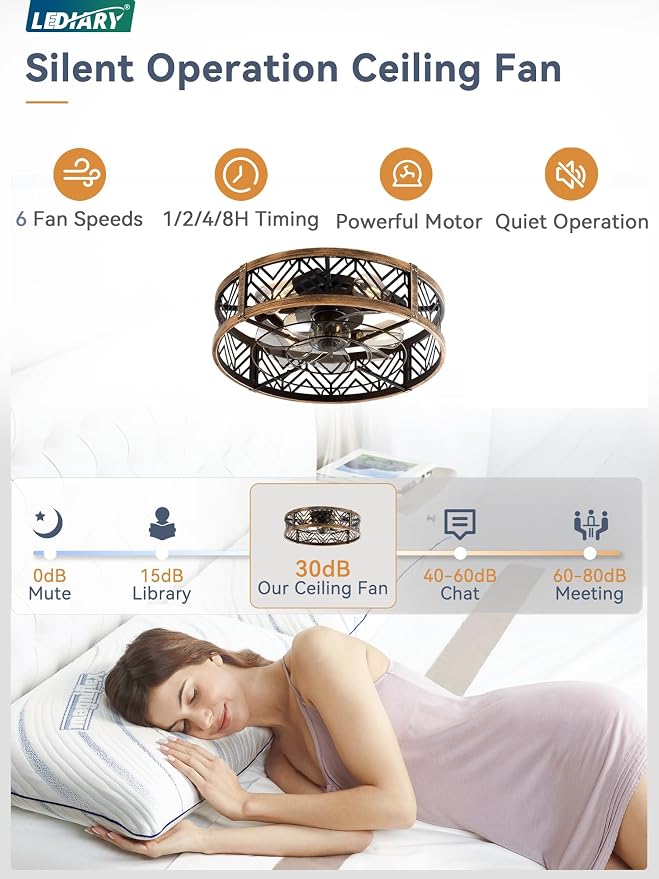 LEDIARY 20" Caged Ceiling Fan with Light, Small Flush Mount, App&Remote Control, Low Profile Bladeless Fan Light Fixture 6 Speed, Reversible and Quiet Motor-Black Gold