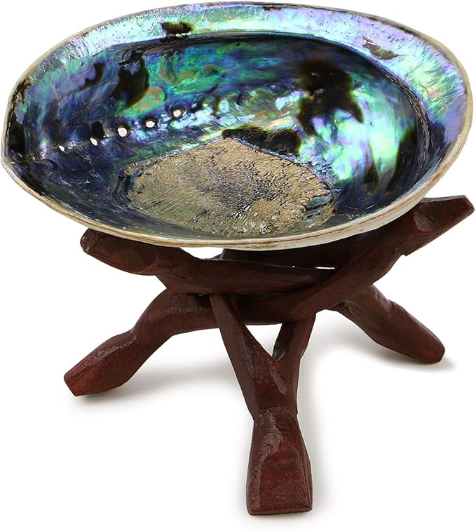 Ocean Shell Studios 5-6 inches Premium Natural Abalone (Pāua) Shell with Wooden Stand for Smudging, Cleansing Home, Meditation, Shell Crafts,Incense Holder, Home Décor, 100% Natural, Sustainable.