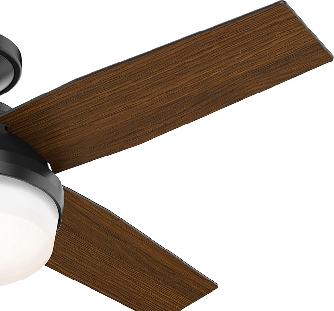 Hunter Dempsey, Outdoor or Indoor, Ceiling Fan, Quiet, 44 inch, Matte Black