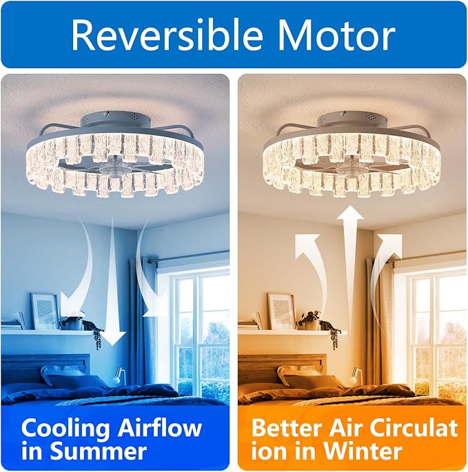 Dalouguan Rustic Silver Caged Ceiling Fan with Light, Personalized Fashion Ceiling Fan Remote Control with Acrylic, LED Low Profile Ceiling Light for Bedroom Kitchen Living Room