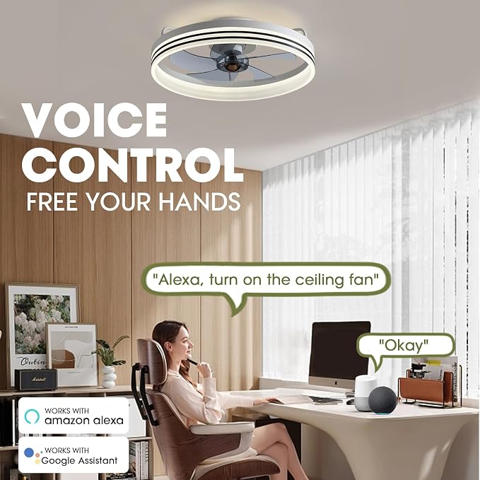 LUDOMIDE Smart Ceiling Fan with Lights, Alexa/Google Assistant/APP Control, 20" Low Profile Fan with 6 Speeds, Bedroom, Living Room, Patio