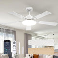 Passky Ceiling Fans with Lights, 52 inch Sleek Ceiling Fan with Light and Remote Control, 3CCT, Dimmable, Reversible, Noiseless, White Ceiling Fan for Bedroom, Living Room