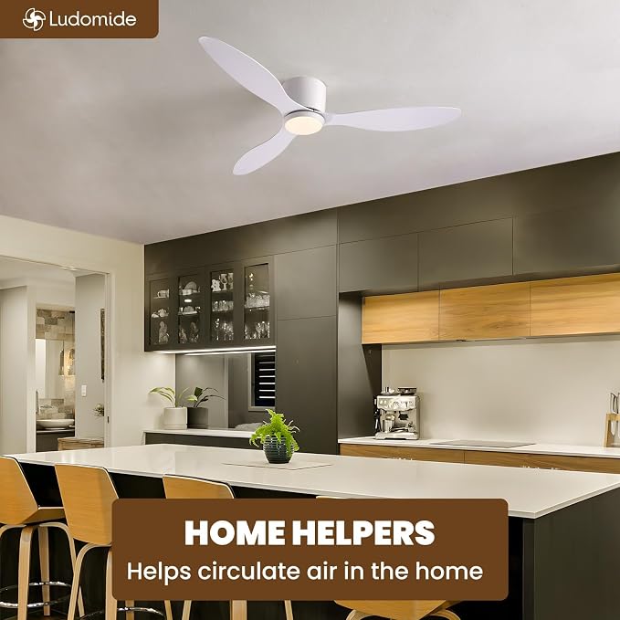 LUDOMIDE Ceiling Fans with Lights,52 Inch Low Profile Ceiling Fan with Wall Control and Remote Control,Dimmable,Flush Mount Ceiling Fan with Noiseless DC Reversible Motor for Bedroom Indoor Use