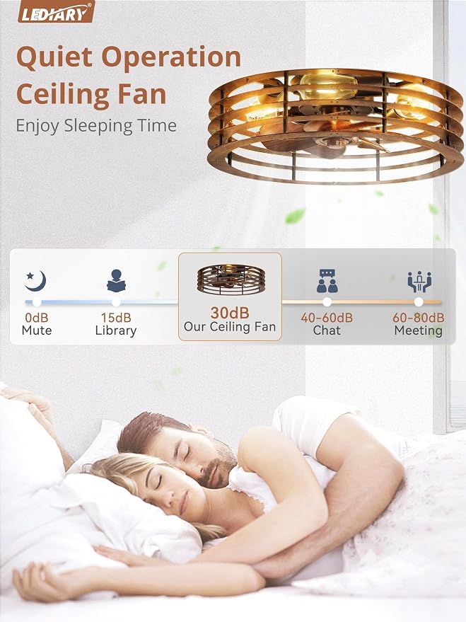 LEDIARY 20" Flush Mount Caged Ceiling Fan with Light, Low Profile Ceiling Fans with Light and Remote, 6 Speed & Reversible, Farmhouse Enclosed Fan Lights for Bedroom, Kitchen, Living Room