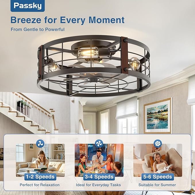 Passky 20" Farmhouse Flush Mount Ceiling Fans with Lights and Remote, Industrial Black Caged Low Profile Fandelier, 6 Speeds Bladeless Ceiling Fan for Bedroom, Kitchen, Living Room