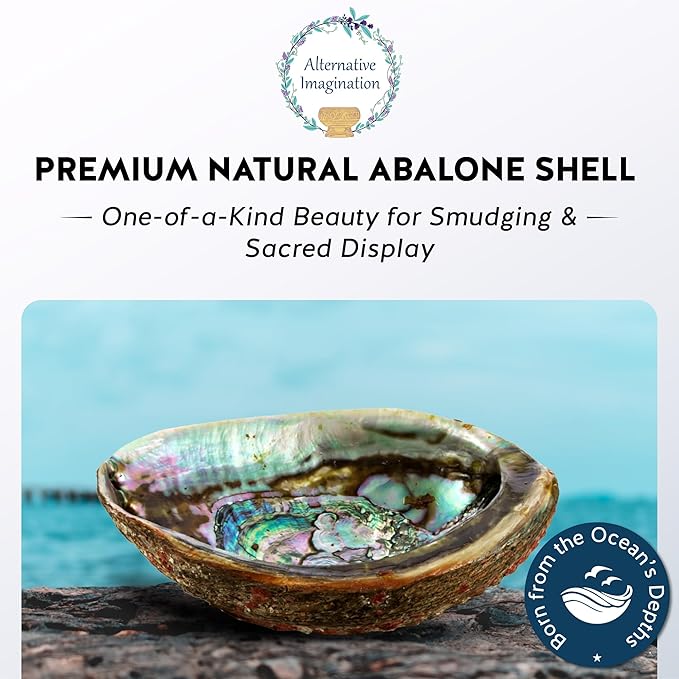 Alternative Imagination Hand Selected Abalone Shell - 5 Inches or Larger - Polished Mother-of-Pearl Interior - Flame-Proof Dish for Incense, Smudge Sticks, Trinkets, Crystal Display & Home Decor
