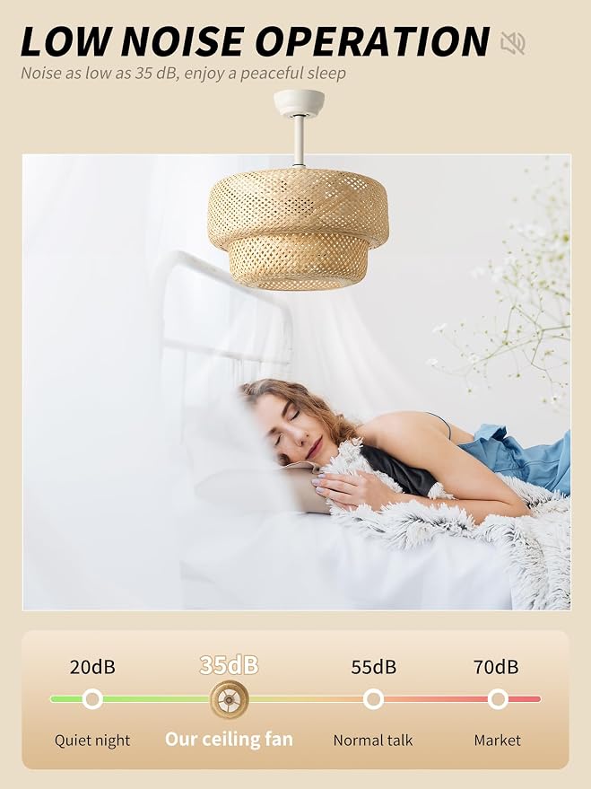 SYDACG Boho Ceiling Fans with Lights, 20" Rattan Ceiling Fan with Light Remote Control, Caged Fandelier with 6 Speeds for Bedroom, Nursery, Living Room