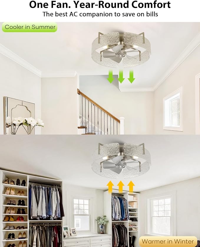 20" Low Profile Caged Ceiling Fan with Light, Modern Flush Mount Ceiling Fans with Remote, Silver Fandelier Ceiling Fan with Reversible DC Motor, Small Ceiling Fans for Bedroom Living Room