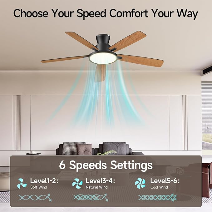 Ceiling Fans with Lights,52 inch,Quiet,Reversible Motor,Dimmable, Adjustable Color Temperature,6 Speeds,Timer, Low Profile Ceiling Fan for Bedroom,Living Room,Indoor/Outdoor Use (Black)