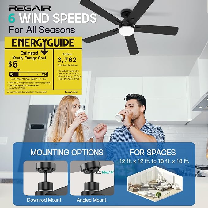 Ceiling Fan With Light 52-Inch, Remote Control Reversible DC Motors, 3CCT Dimmable Timer Noiseless, Nickel Ceiling Fan for Bedroom Living Room, Indoor&Outdoor ETL Listed