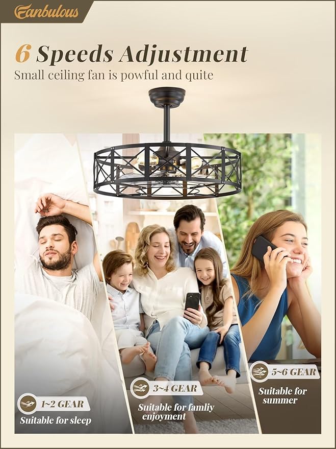 Fanbulous 23 Inch Fandelier Caged Ceiling Fans with Lights and Remote, Black Bladeless Ceiling Fan with 6 Speeds and Timing, Farmhouse Samll Fan Lights Ceiling Fixtures for Kitchen, Bedroom-Black