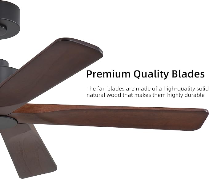 WINGBO 48" DC Ceiling Fan No Light - 5 Carved Solid Wood Blades, 6-Speed Reversible DC Motor, Ceiling Fan without Lights for Living Room Bedroom Kitchen Patio, Indoor and Outdoor, Black and Walnut