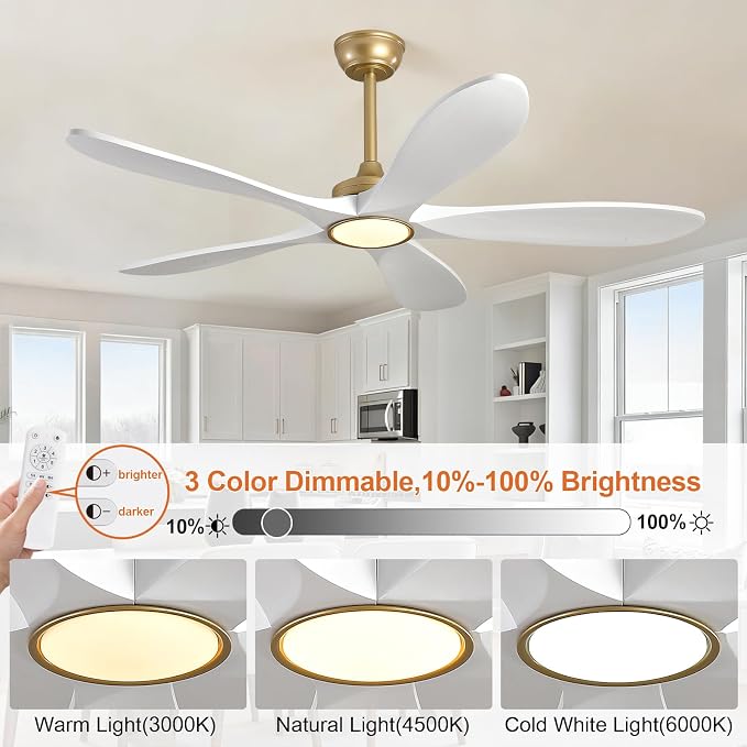 52 Inch White and Gold Ceiling Fans with Lights and Remote Control, Modern 3 Blade Wood Ceiling Fan, Small Indoor Ceiling Fan with Light for Living Room, Quiet DC Motor, Dimmable LED Light