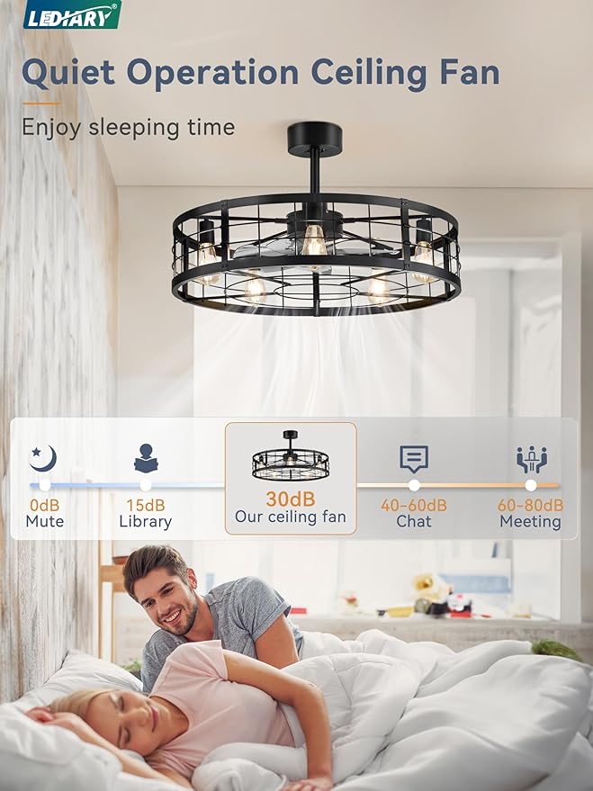 LEDIARY 30 inch Fandelier Caged Ceiling Fan with Light, Bladeless Ceiling Fan with Remote, Farmhouse Fan Lights Ceiling Fixtures for Kitchen, Bedroom, Outdoor(6 Speed, Timing)-Black