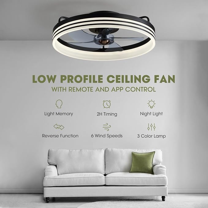 LUDOMIDE Ceiling Fan with Light, Flush Mounted Ceiling Fan with Lights, 6 Wind Speeds Smart Low Profile Fan for Bedroom, Kids Room and Living Room 20" (Black)