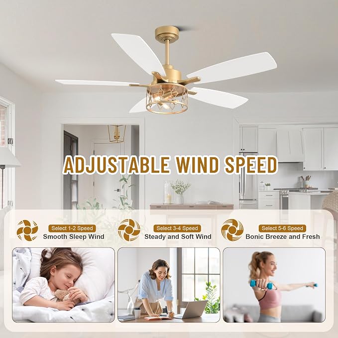 Farmhouse Caged Ceiling Fan with Light & Remote Control | Reversible Quiet DC Diamond Iron Cage Fan,6 Speed 1/2/4H Timer Dual-Sided Wood Blades with 2 Downrods for Living Room Bedroom