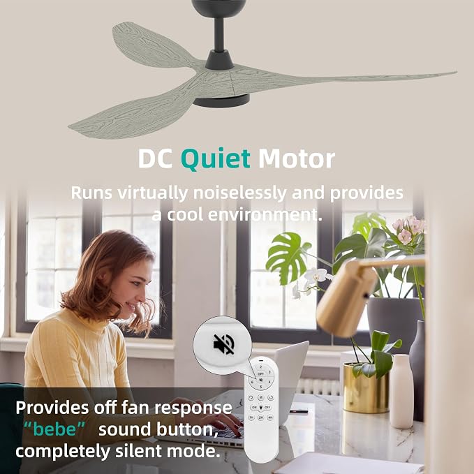 Roomratv Ceiling Fans with Lights and Remote Control,Quiet Noiseless Reversible DC Motor,6 Speeds,Timers, 3 CCT, Indoor Use, Plastic Blades,52 Inch White Oak Modern Ceiling Fan for Living Room