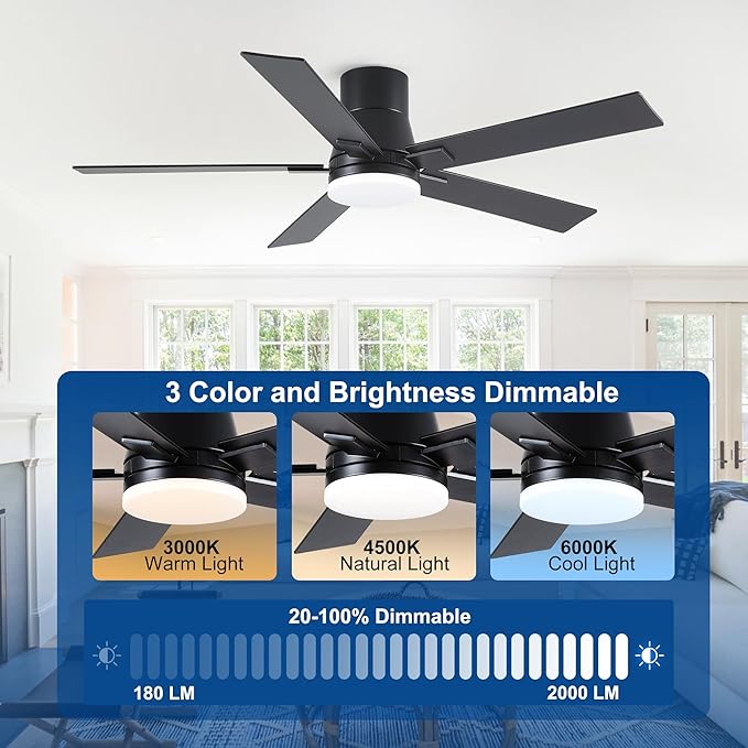 Rayqueen 52 Inch Flush Mount Black Ceiling Fans with Lights and Remote | 6 Speed Reversible DC motor,3-color temperature dimmable LED.For indoor/covered outdoor.Modern style for bedroom room