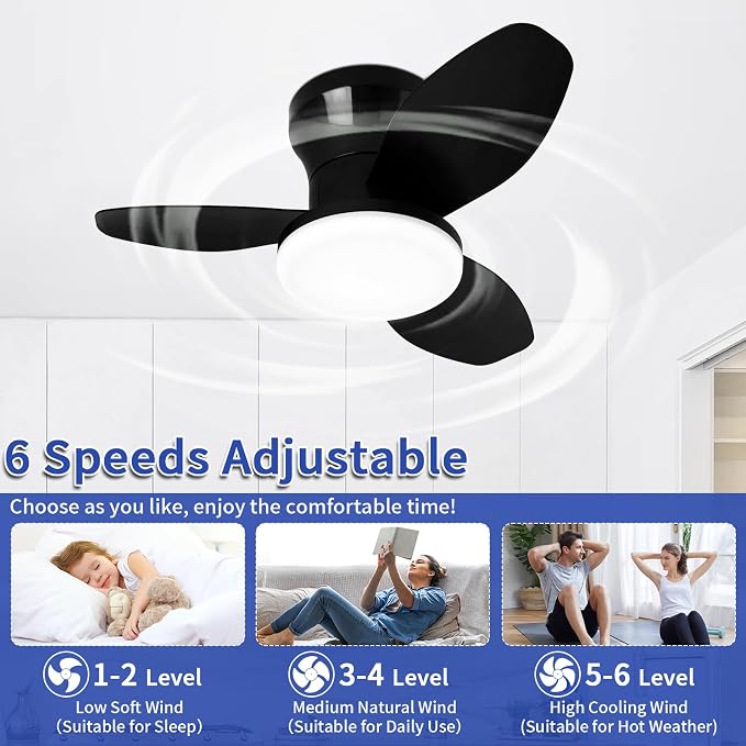 Small Ceiling Fan with Lights, 25" Flush Mount with Remote Control | Reversible Quiet DC Motor,Black,3 Blades,6 Speeds,Dimmable LED,Adjustable Color Temperature,Timer,for bedroom Kitchen indoor