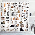 Ambesonne Cat Lover Shower Curtain, Group of Cats and Kitten Lying Down Meowing Purebred Norwegian Siamese, Cloth Fabric Bathroom Decor Set with Hooks, 69" W x 70" L, Marigold White