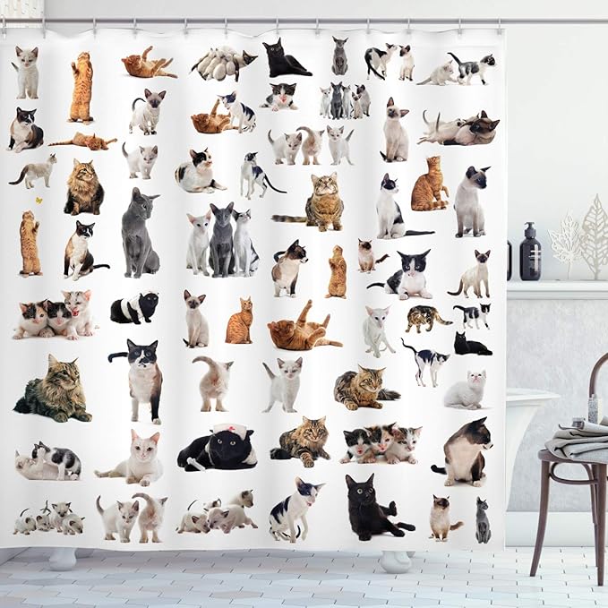 Ambesonne Cat Lover Shower Curtain, Group of Cats and Kitten Lying Down Meowing Purebred Norwegian Siamese, Cloth Fabric Bathroom Decor Set with Hooks, 69" W x 75" L, Marigold White