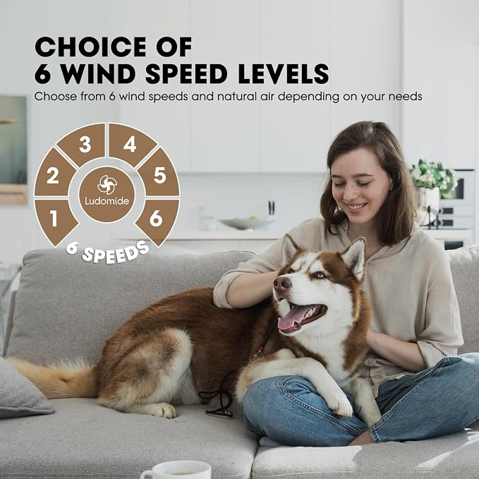 LUDOMIDE Ceiling Fans with Lights,42 Inch Low Profile Ceiling Fan with Wall Control and Remote Control,Dimmable,Flush Mount Ceiling Fan with Noiseless DC Reversible Motor for Bedroom Indoor Use