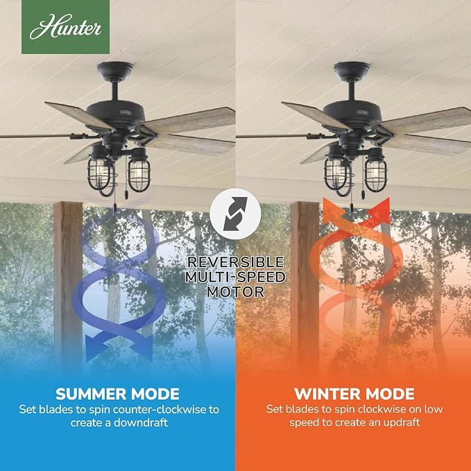 Hunter Starklake, Outdoor or Indoor, 5 Blades, 52 inch, Natural Black Iron