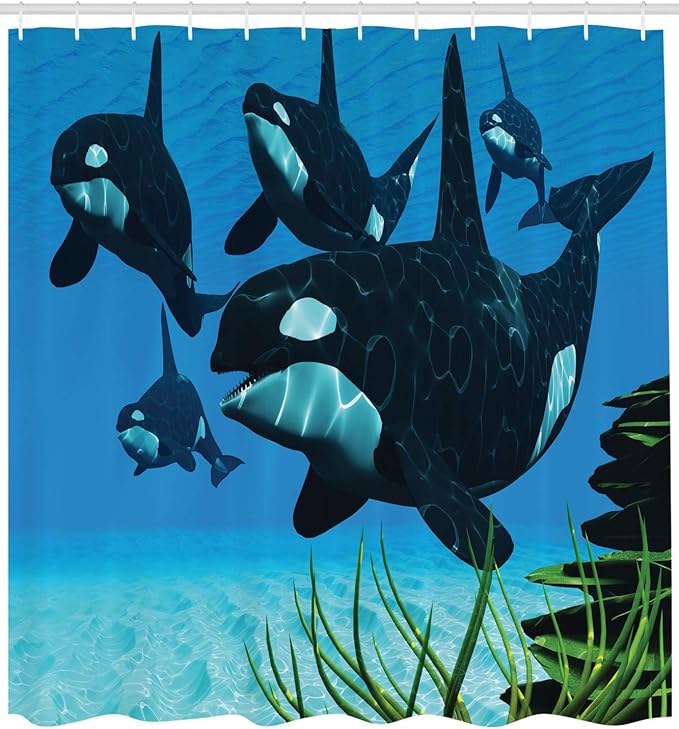 Ambesonne Whale Shower Curtain, Pod of Killer Whales Swim Along a Reef Looking for Fish Prey Ocean Picture Print, Cloth Fabric Bathroom Decor Set with Hooks, 69" W x 70" L, Sky Blue Green