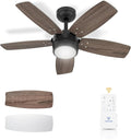 Ceiling Fan 36'' for Small Room: Modern Ceiling Fans with Light Remote Control - Reversible Quiet DC Motor Dimmable with 6 Speeds for Small Office Kids Bedroom(Bronze+Walnut)