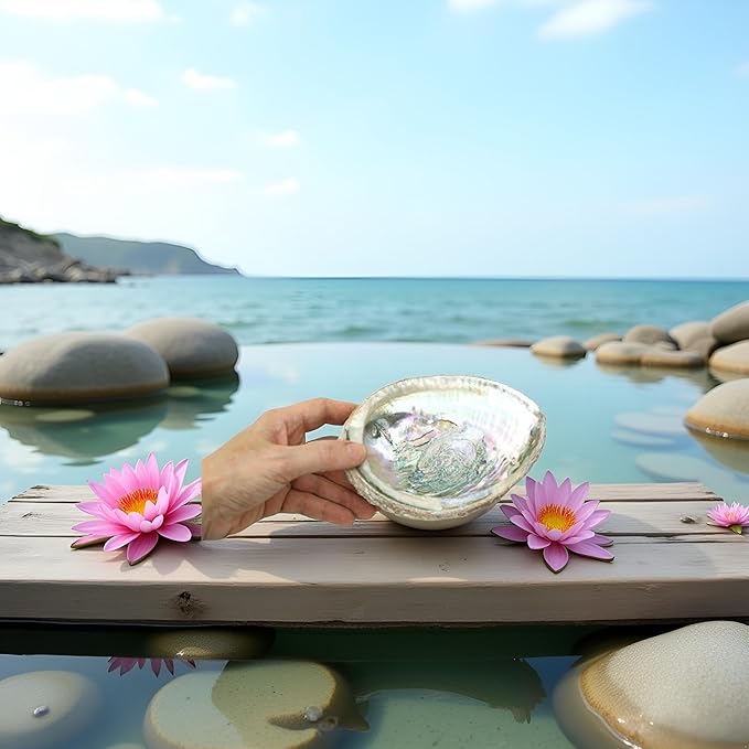 1pc Colorful Fashionable Large Abalone Shell Bowl,4-4.5 Inch Exquisite Natural Sea Shell Smudge Bowl for Sage Burning and Incense for Decor,Display and Great Gift,Incense and Incense Holders