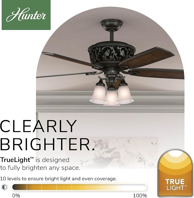 Hunter Promenade, Indoor, Ceiling Fan, Quiet, 54 inch, Brittany Bronze