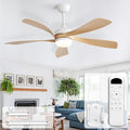 CACI Mall 52 Inch Ceiling Fans with Lights and Remote, modern, Outdoor ceiling fan with 6-Speed, 5 Blades, 2 Downrods, 3 CCT, Timer, Quiet Reversible DC Motor for Living Room, Bedroom, Patios