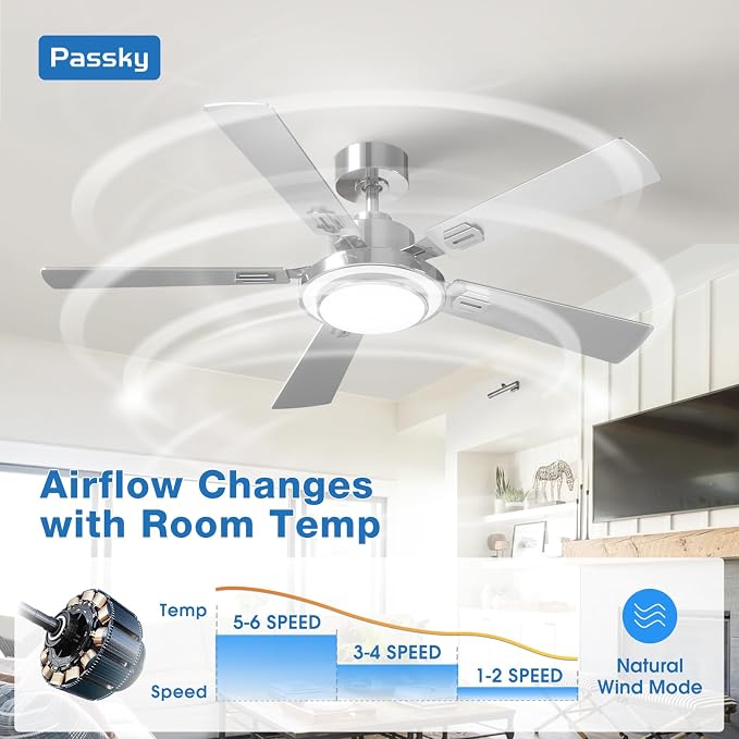 Passky Ceiling Fans with Lights, 52 inch Modern Ceiling Fan with Light and Remote Control, 3CCT, Dimmable, Reversible, Noiseless, Silver Ceiling Fan for Bedroom, Living Room