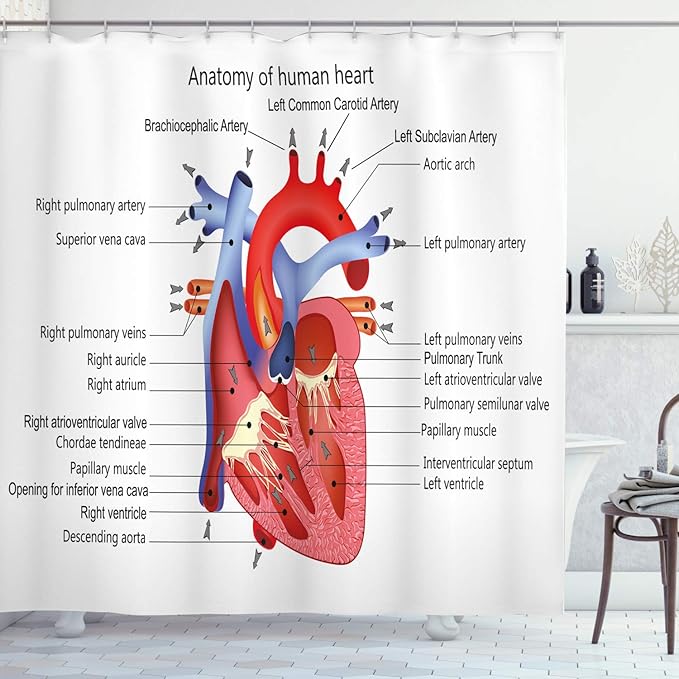 Ambesonne Science Shower Curtain, Structure of The Heart Human Body Anatomy Organ Veins Cardiology, Cloth Fabric Bathroom Decor Set with Hooks, 69" W x 70" L, Coral Red
