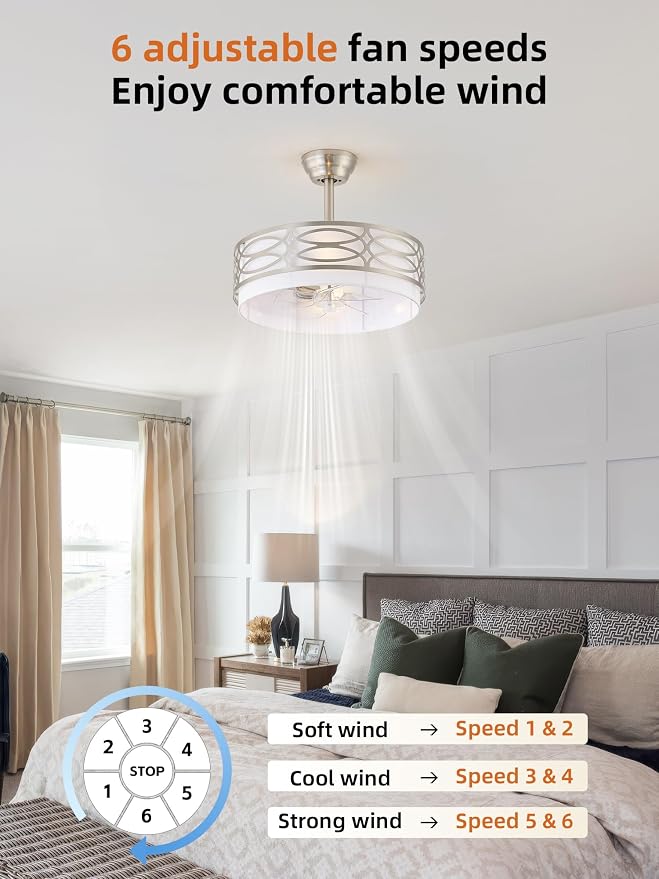 20" Silver Boho Ceiling Fan with Light, Caged Fandelier Ceiling Fans with Lights Remote Control with 6 Speeds for Bedroom, Living Room, Nursery