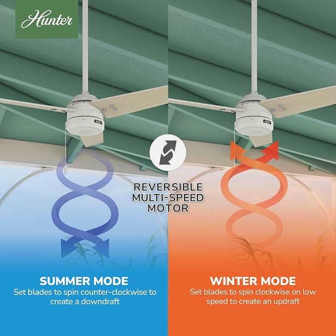 Hunter Cassius, Outdoor or Indoor, Ceiling Fan, 44 inch, Fresh White | Covered patios and porches get a no-light design, droop-free blades, and compact scale for offices or small rooms.