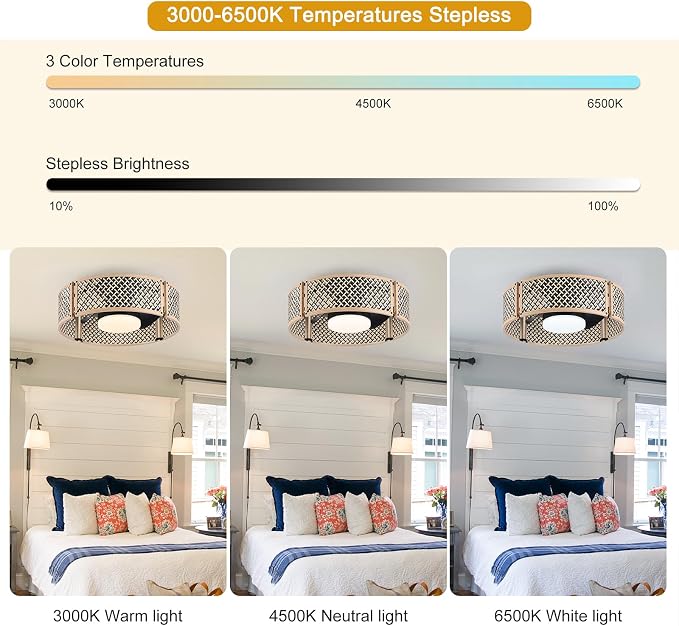 Ganeed 20" Boho Caged Fandelier with Lights, 18W Dimmable LED Rattan Ceiling Fan with Lights and Remote Control, Enclosed 6 Speeds RGB Low Profile Bamboo Fan Light for Bedroom, Living Room, Kitchen