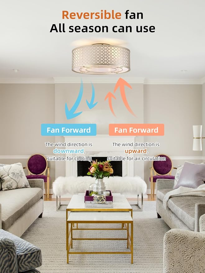 20" Gold Ceiling Fan with Light Flush Mount, Boho Ceiling fans with lights Remote Control, with 6 Speeds for Bedroom, Nursery, Living Room