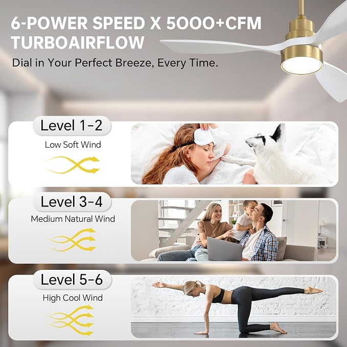 CACI Mall 48 inch Smart Ceiling Fans with Lights, Low Profile, Modern, Gold, 3 Blades, Solid Wood, Remote Control, Work with Alexa/Google, Outdoor Indoor Ceiling Fans for Patio Living Room Bedroom