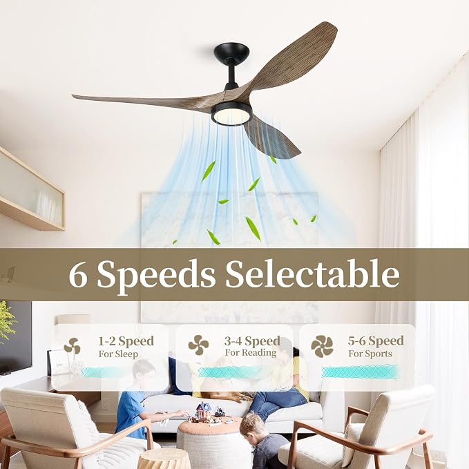 Roomratv Ceiling Fans with Lights,52 Inch,Quiet & Strong Motor,6 Speeds,3CCT,Timer,Easy to Install,Black Modern Ceiling Fan for Living Room,Bedroom,Kitchen,Office,Farmhouse,Patios