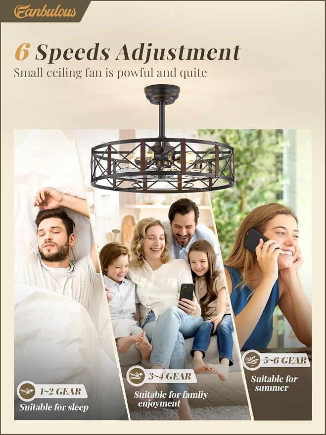 Fanbulous 23 Inch Fandelier Caged Ceiling Fans with Lights and Remote, Black Bladeless Ceiling Fan with 6 Speeds and Timing, Farmhouse Samll Fan Lights Ceiling Fixtures For Kitchen, Bedroom-Walnut