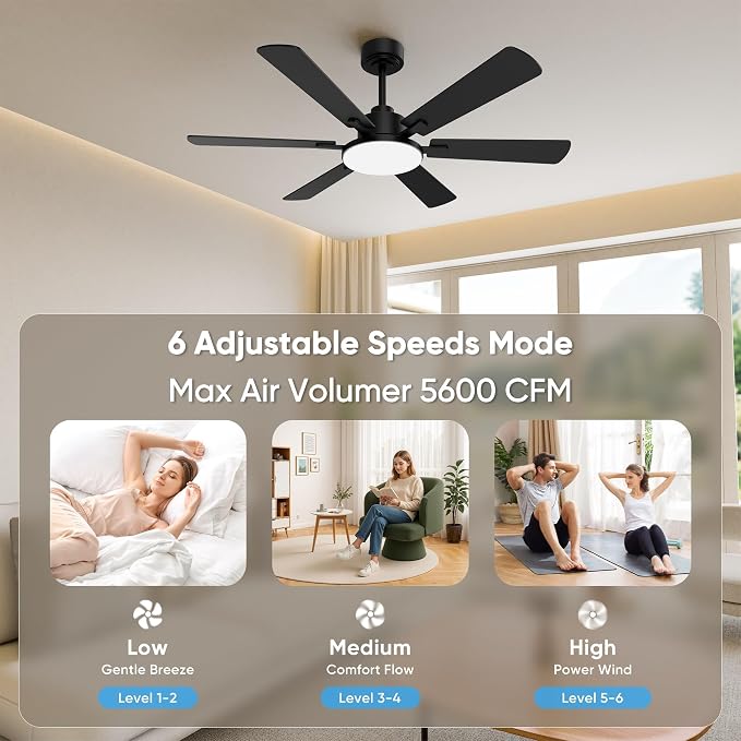 52 Inch Ceiling Fans with Lights, 6 Double Sided Blades, Ultra Quiet Reversible DC Motor, Remote & APP Control, 6 Speeds, 3CCT Dimmable LED with Memory Function, Downrod Mount for Living Room, Black